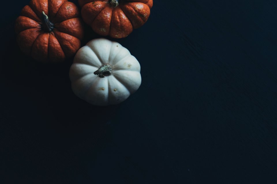 orange and white pumpkins