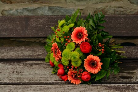 Autumn colours birthday greeting
