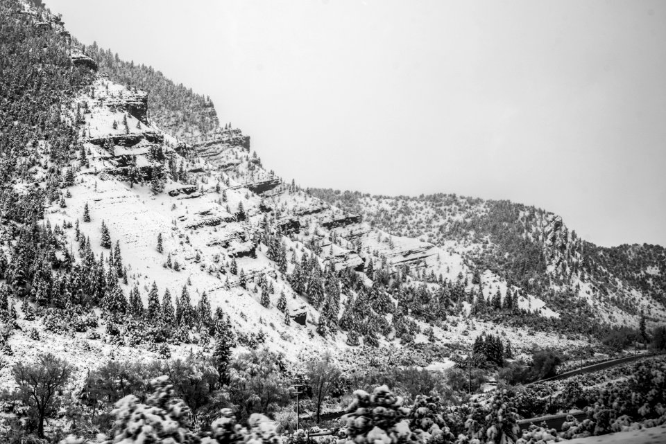 Grey, Junction, United states