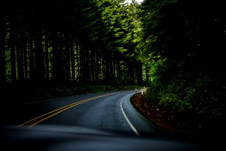 asphalt road surrounded green trees field photo