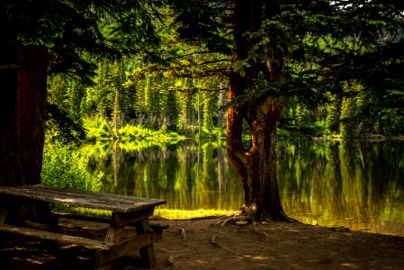 brown wooden picnic table near lake