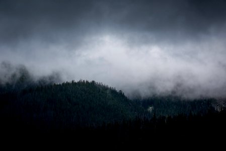 mountain under fog photo