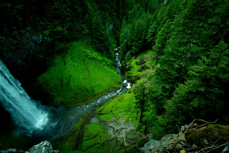 forest and waterfalls
