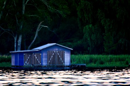 blue wooden house beside trees photo