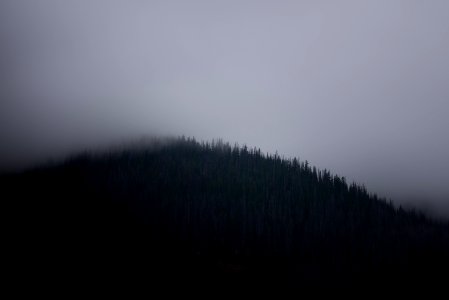 fog covered mountain photo