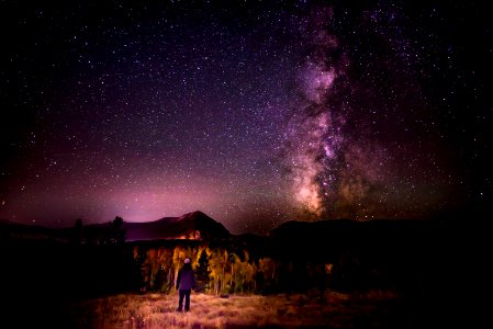 person standing near trees under starry sky photo