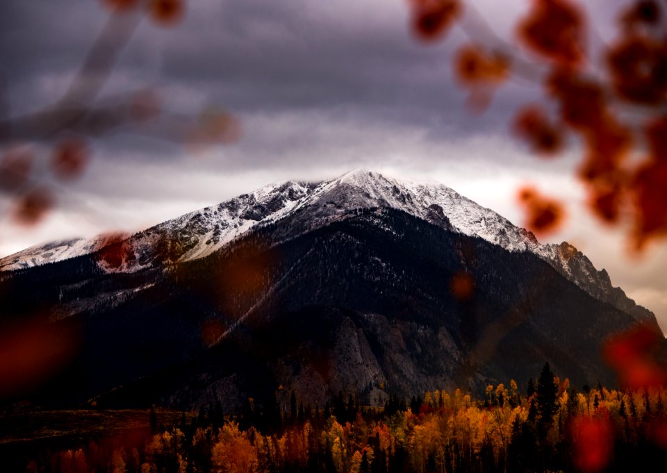 brown mountain surrounded by trees during daytime