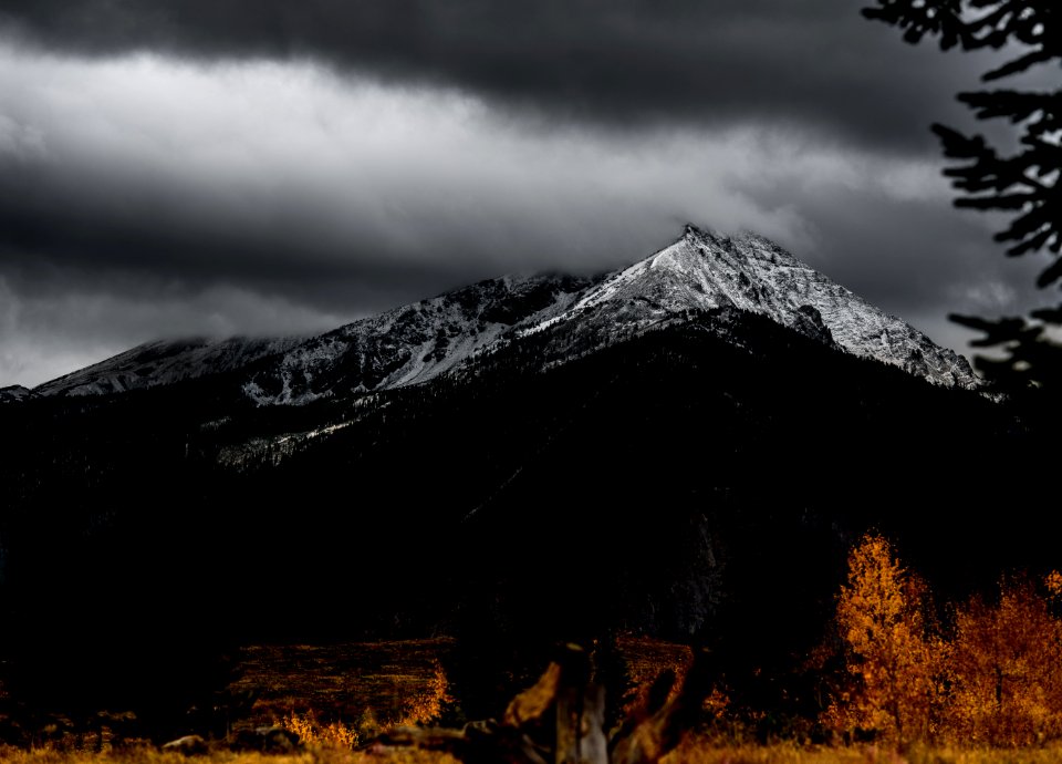trees under snow covered mountain