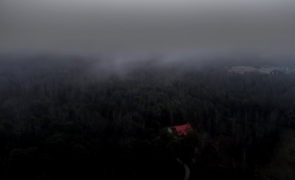 aerial photo of trees and house