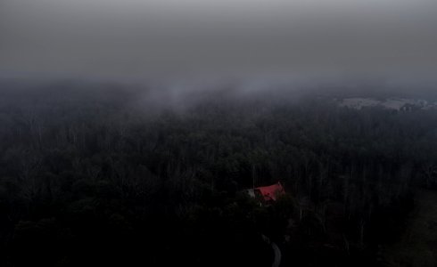 aerial photo of trees and house photo