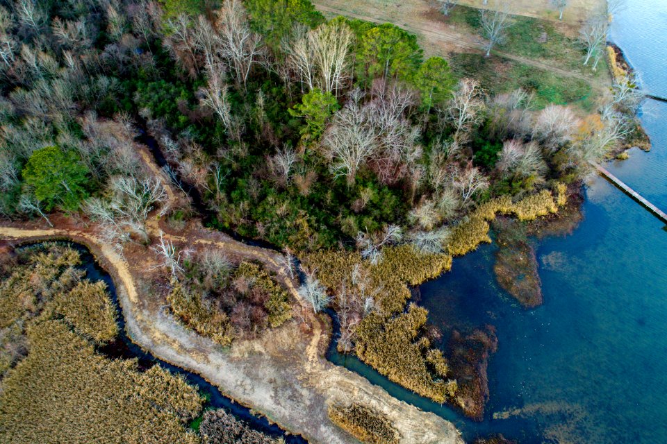 aerial view of landscape with trees near body of water