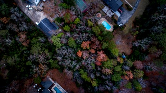 aerial photography of buildings surrounded by trees at daytime photo