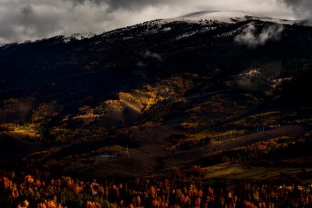 photo of red and green trees near black and white mountain under cloudy sky