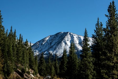 trees in front of glacier mountain photo