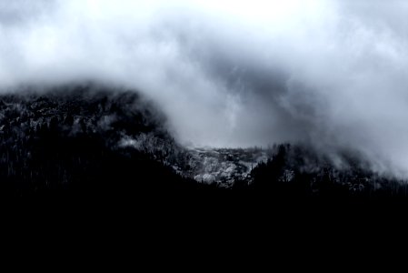 mountain covered with fog photo