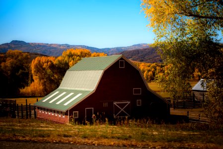barn surrounded by trees photo