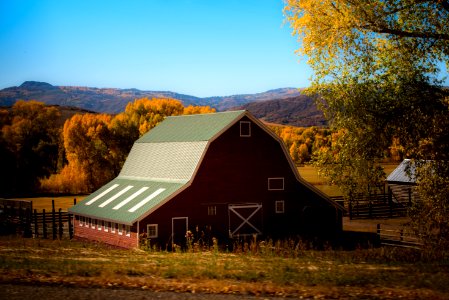 barn surrounded by trees