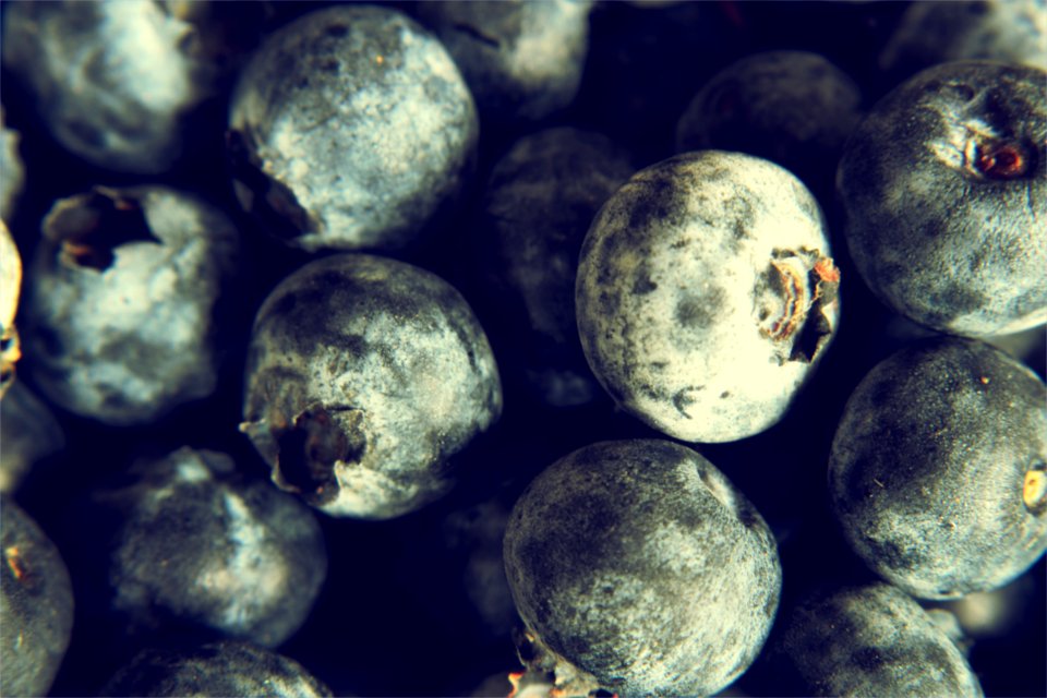 Organic, Food, Fruit