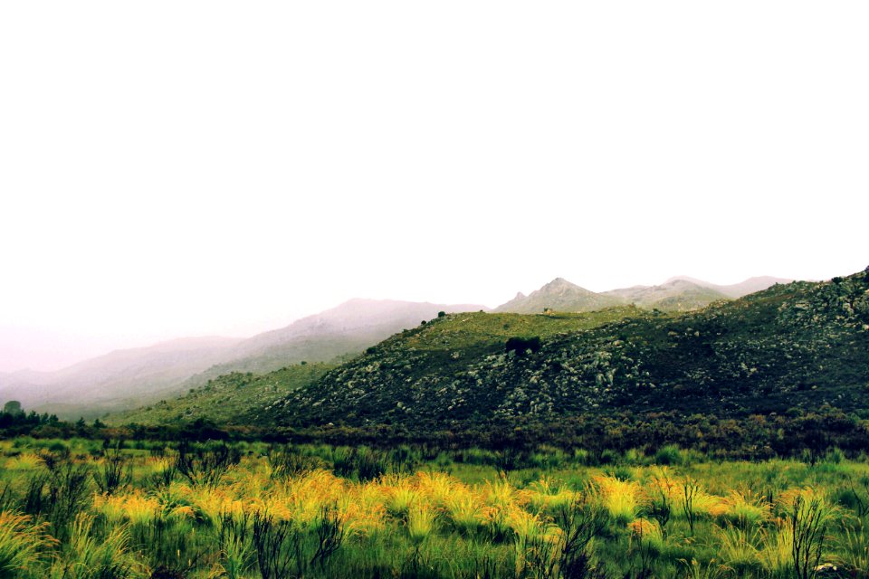Hermanus, South africa, Fog