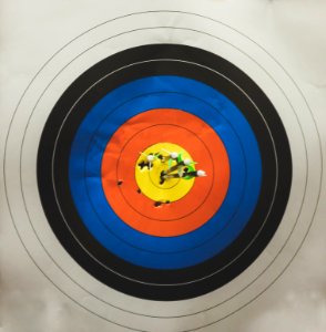 arrows in shooting target photo