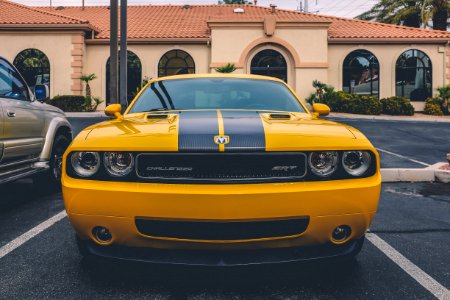 yellow Dodge Challenger coupe photo