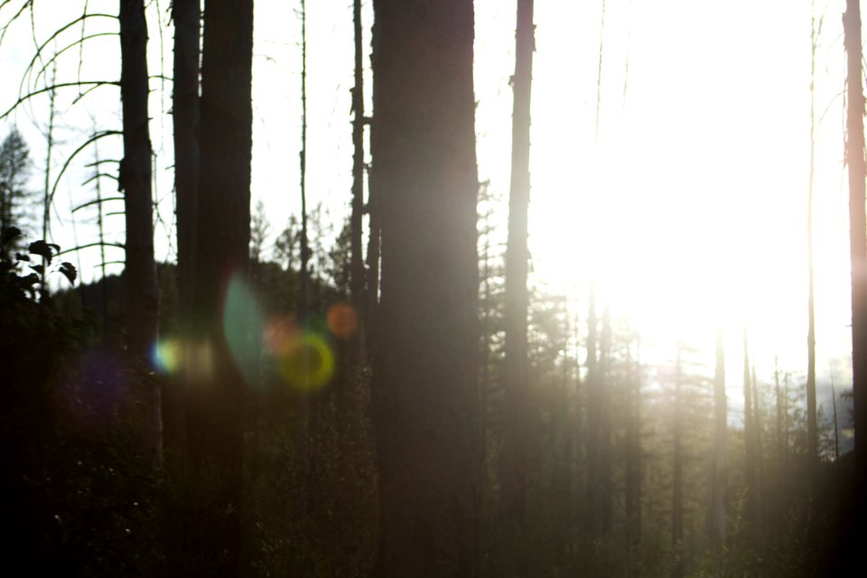 Glacier national park, United states, Light