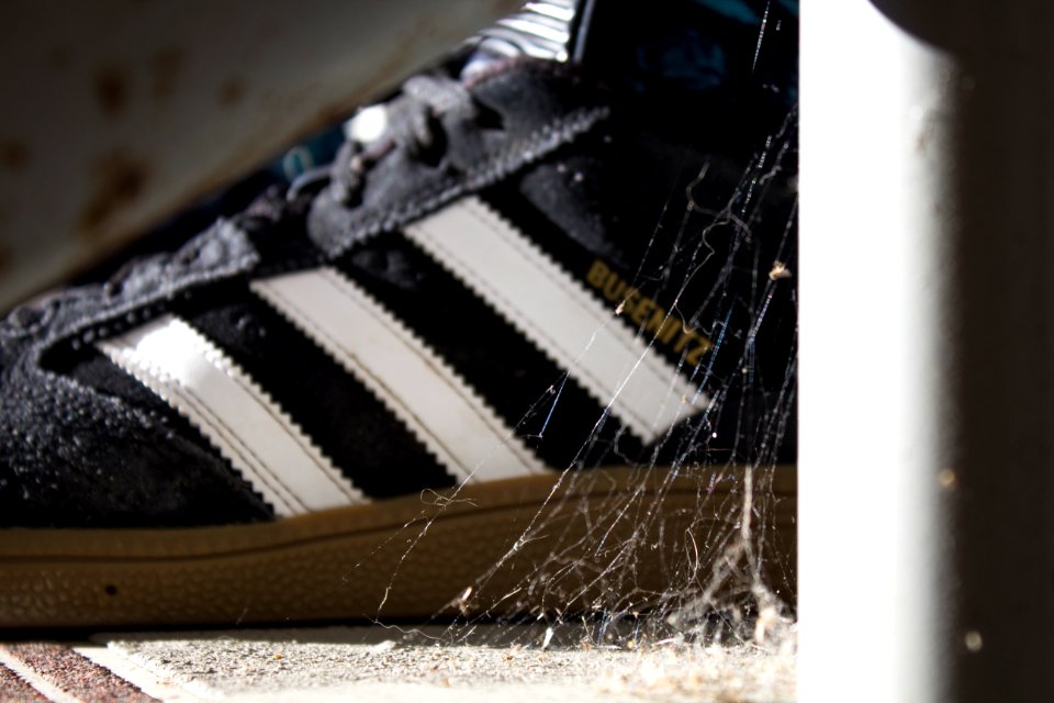 Billings, United states, Shoes
