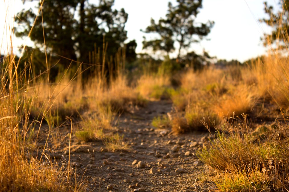 Billings, United states, Dirt