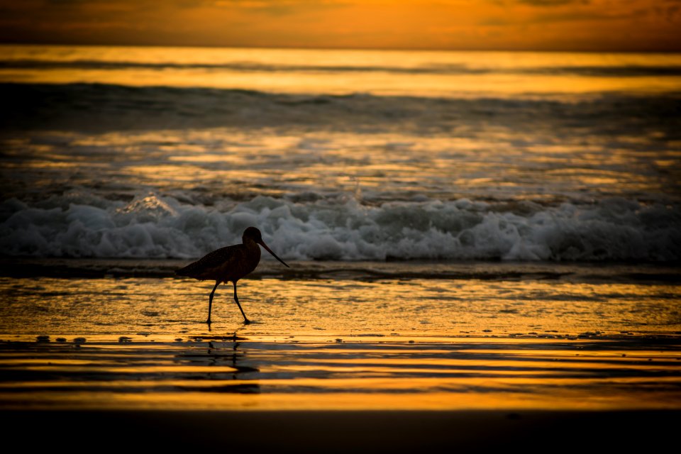 Malibu, United states, Water