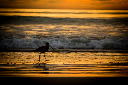 Malibu, United states, Water