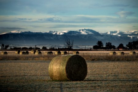 Billings, United states, Ranch