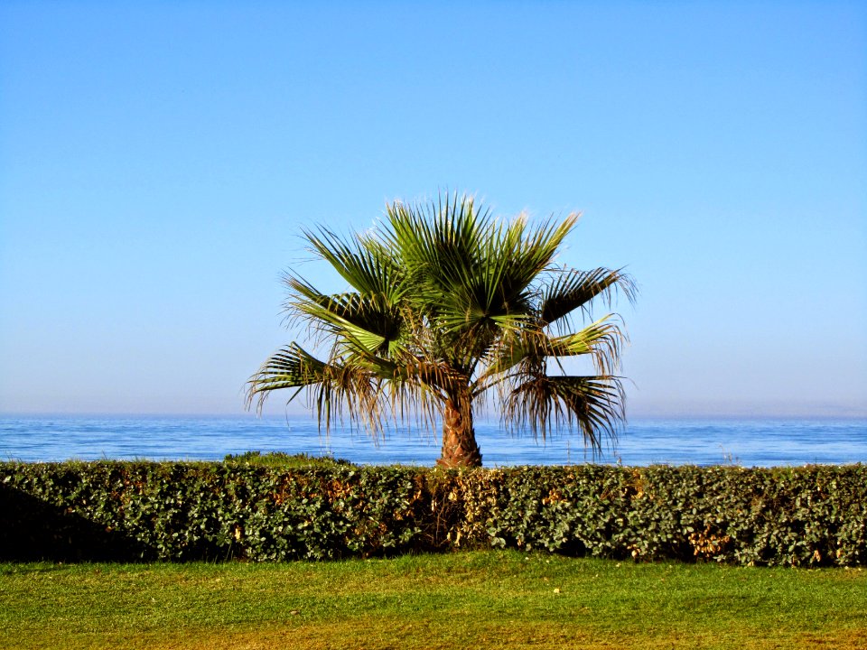 Estepona, Spain, Seashore