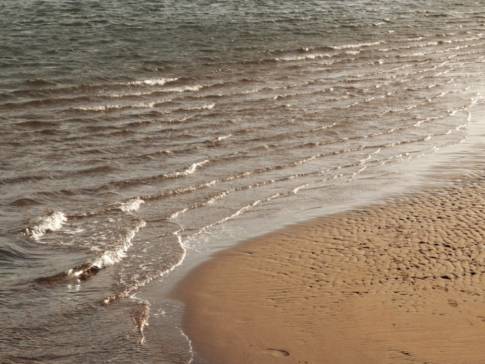 Morning, Fresh, Water