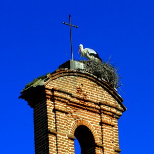 Nest cross blue cross