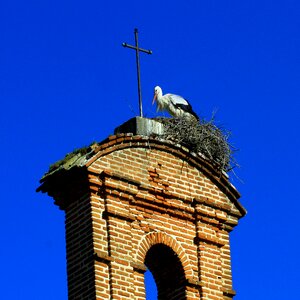 Nest cross blue cross photo