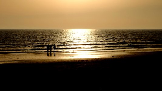 Golden, Sunset, Beach