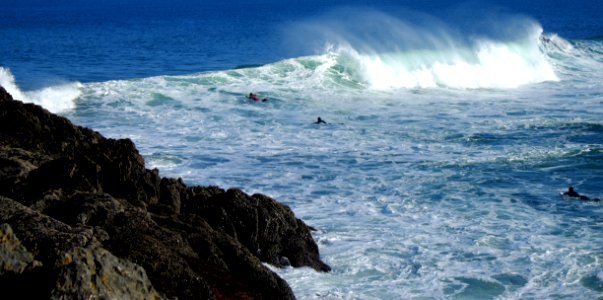 Sea, Sport, Surf photo