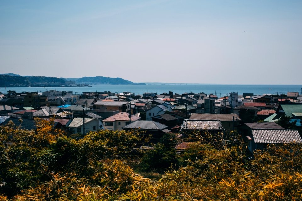 brown wooden house photography