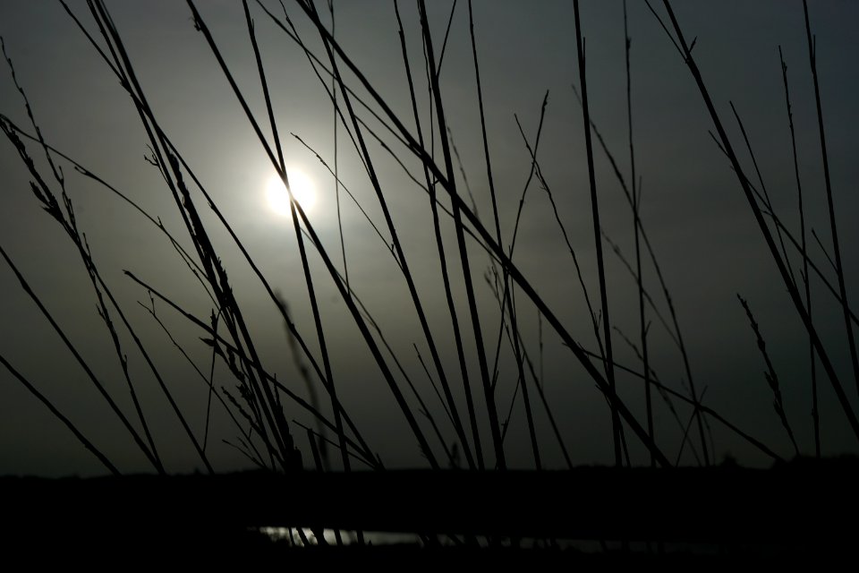 Crepuscule, Clouds, Dark photo