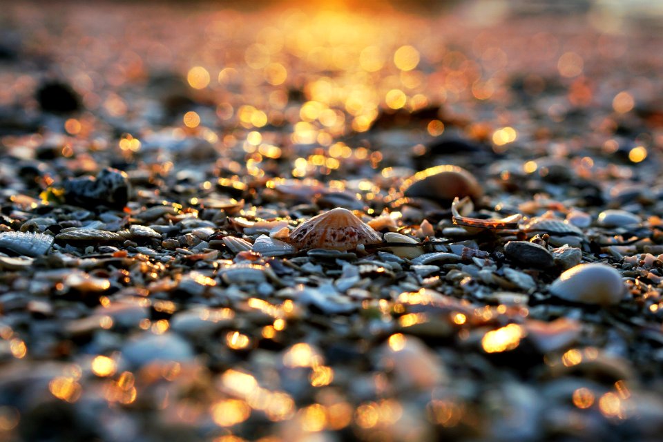 Beach, Water, Sunset