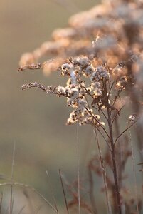 Spring march nature