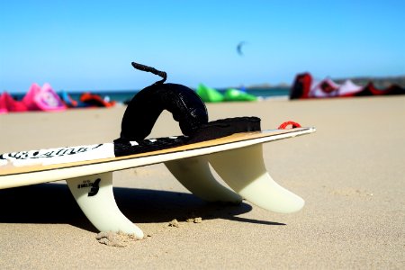 Beach, Wood, Wing