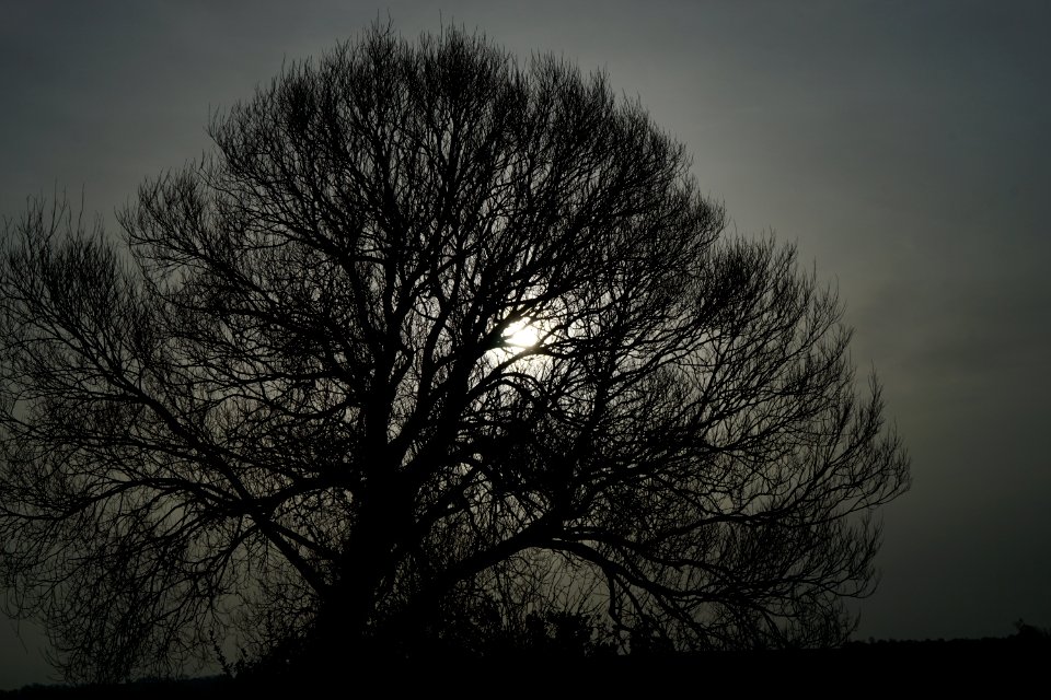 Dark, Grey, Light