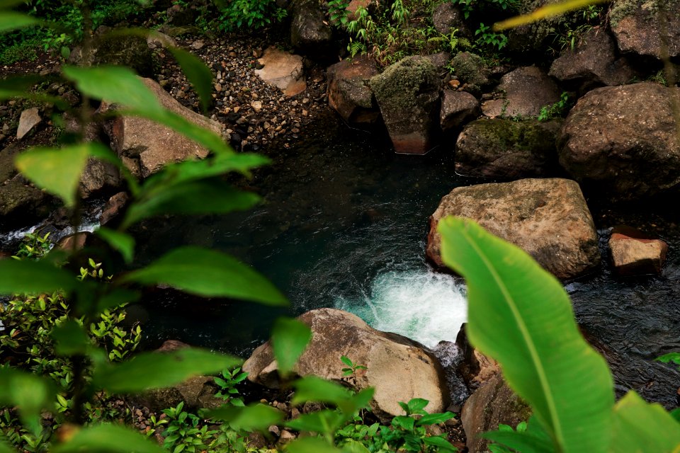Guadeloupe, Water, Green