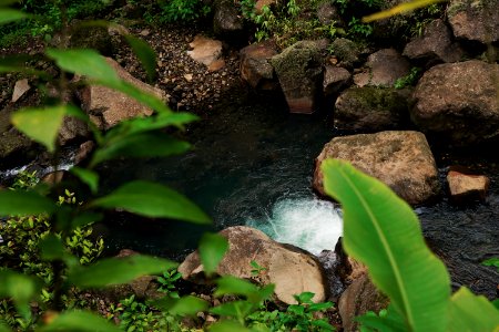 Guadeloupe, Water, Green photo