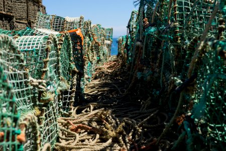 blue and brown ropes photo