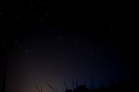 low angle photography of grasses under stars at nighttime