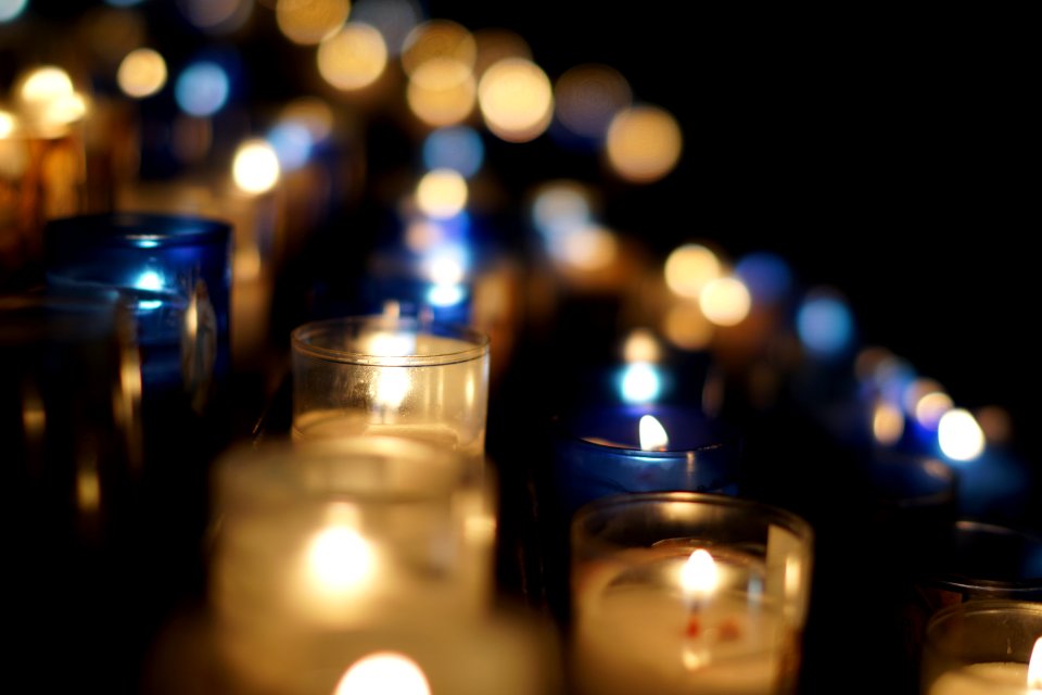 Blue, Still life, Bokeh