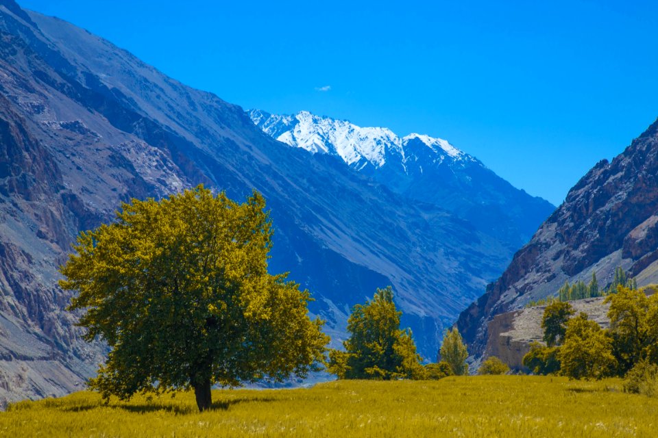 India, Scape, Mountains