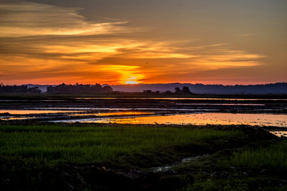 Assam, India, Lake photo